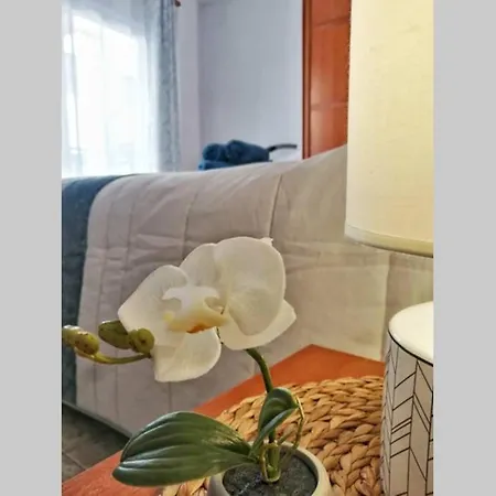 Center Of Lovely Puerto Santiago, 1 Bed * Puerto de Santiago (Tenerife)