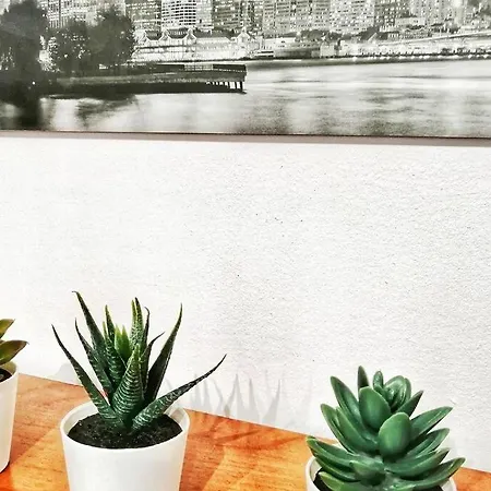 Center Of Lovely Puerto Santiago, 1 Bed Apartmán Puerto de Santiago (Tenerife)